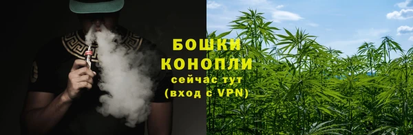 прущий лед Вяземский