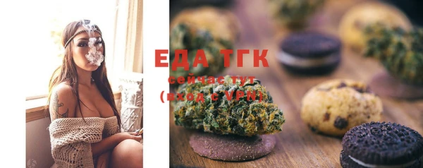 прущий лед Вяземский