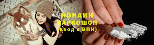 мяу мяу мука Вязники