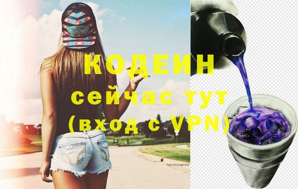 прущий лед Вяземский