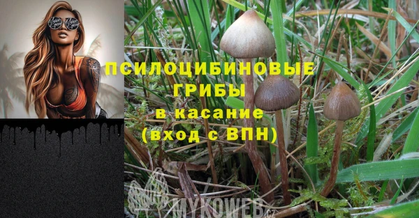 эйфоретик Горно-Алтайск